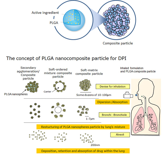 The concept of PLGA nanocomposite particle for DPI