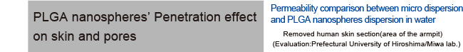 PLGA nanospheres' Penetration effect on skin and pores