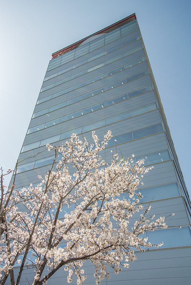 桜と本社ビル2015