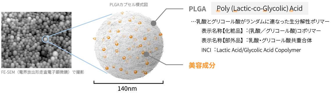 セクション図