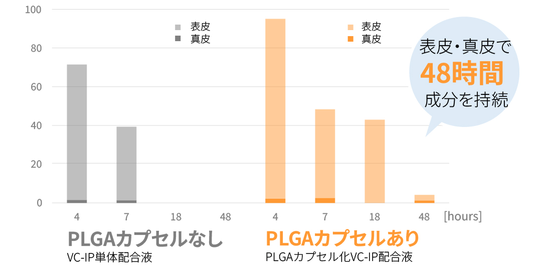 セクション図