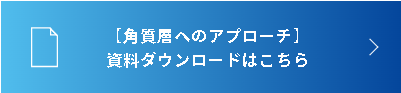 資料ダウンロードはこちら